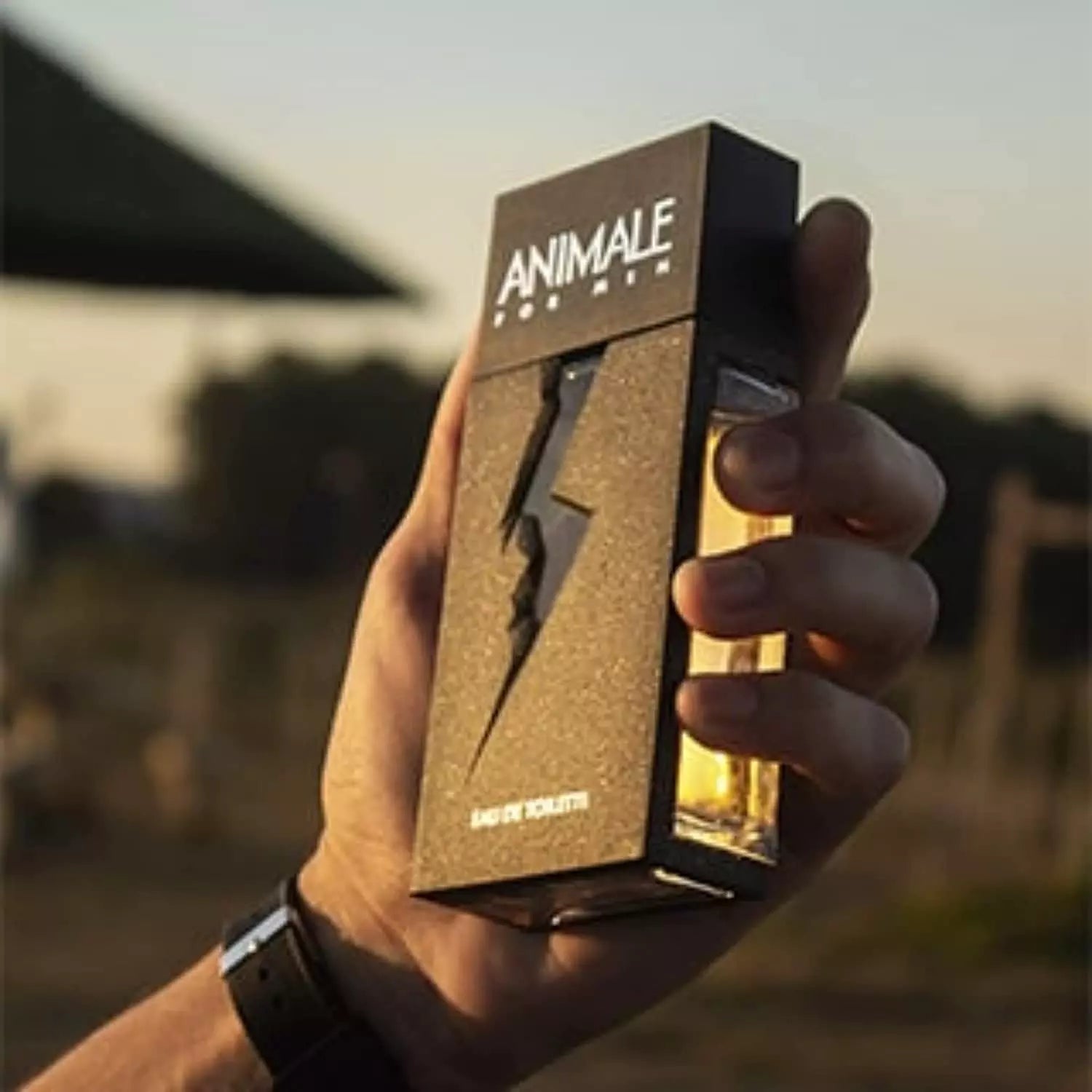 Perfume Masculino Animale For Men 100ml